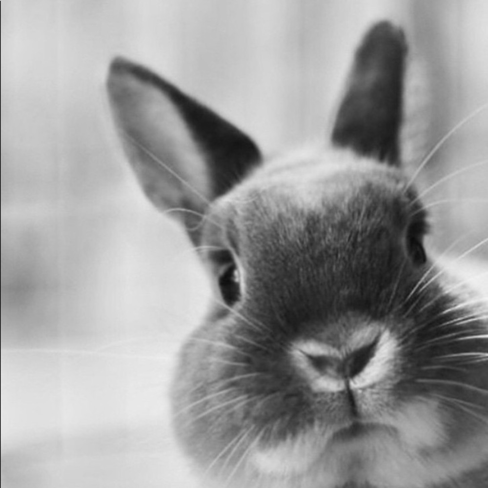 Meet your Posher, Leslie